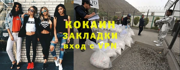 гашиш Богданович